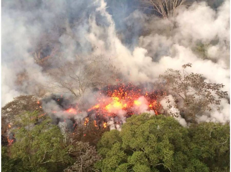 Lava fliesst aus aktiven Spalten des Kilauea.