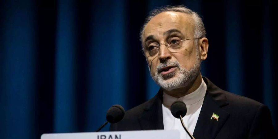 Irans Atomchef Ali-Akbar Salehi.