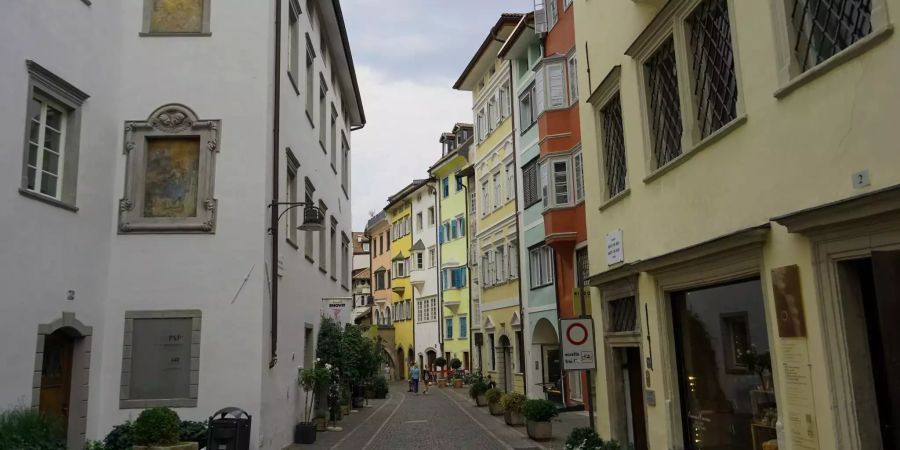 Eine Allee führt durch das südtirolische Bozen (IT).