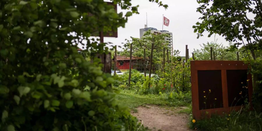 Ausblick auf einen privaten Schrebergarten. (Symbolbild)