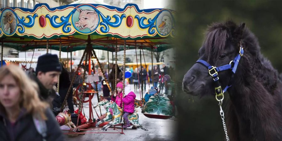 Auf der Basler Herbstmesse hat es wieder Ponys.