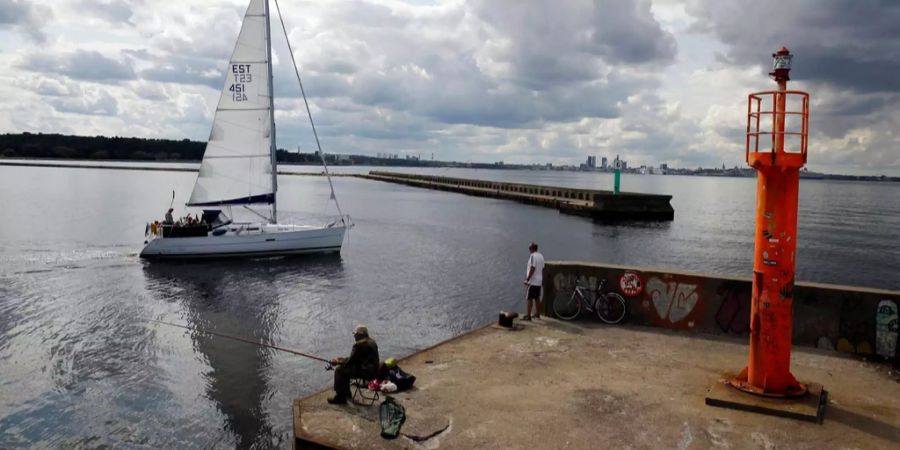 Der Hafen von Tallinn.