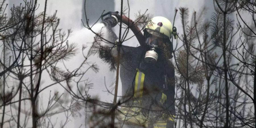 Ein Feuerwehrman kämpft südlich von Berlin gegen die Flammen.