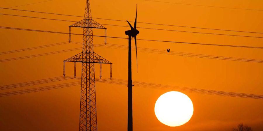 Ein Vogel fliegt bei Sehnde in der Region Hannover neben einer Hochspannungsleitung und einem Windrad vor der aufgehenden Sonne.