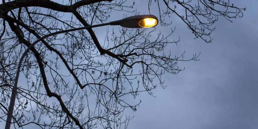 Strassenlaterne unter einem Baum während der Dämmerung - Keystone