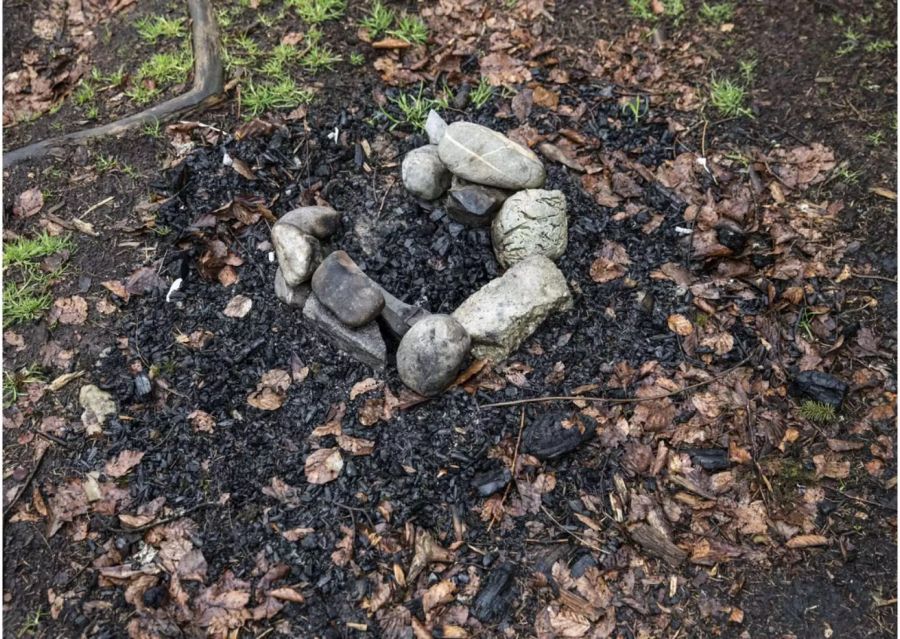 Ausgebrannte Feuerstelle im Wald - Keystone