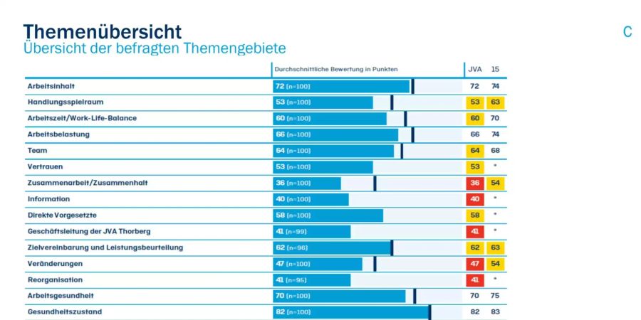 Screenshot der befragten Themengebieten der Mitarbeiterumfrage