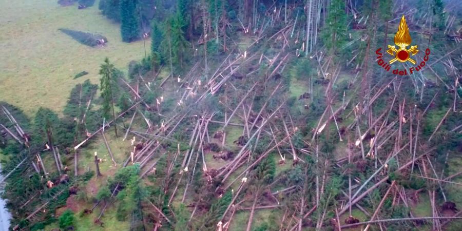 Dieses von der italienischen Feuerwehr zur Verfügung gestellte Foto zeigt umgestürzte Bäume, die auf dem Boden in einem Wald bei Belluno liegen. Unwetter haben in Italien Chaos und Verwüstung angerichtet.