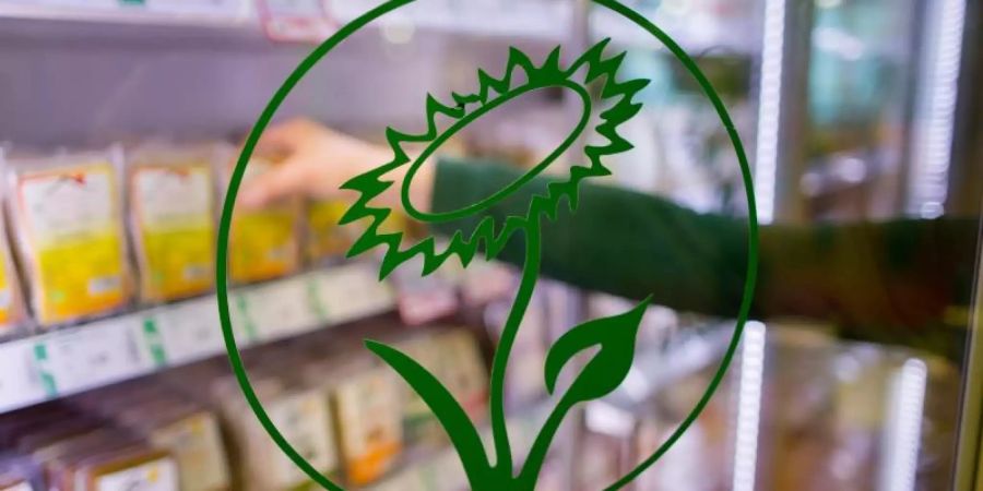 Vegane Ernährung – also der komplette Verzicht auf Nahrungsmittel tierischen Ursprungs – könnte einer kleinen Studie zufolge negative Folgen für die Knochengesundheit haben.