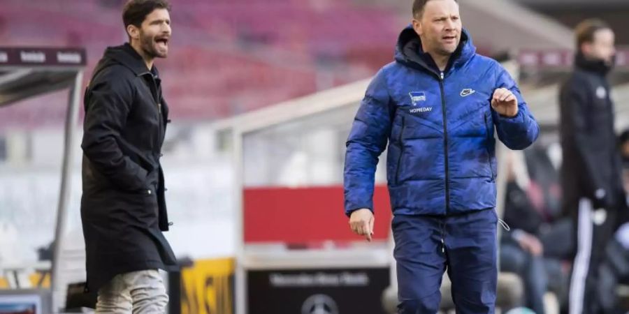 Hertha BSC setzt weiter auf Trainer Pal Dardai (r), Sportdirektor Arne Friedrich soll auch bleiben. Foto: Tom Weller/dpa