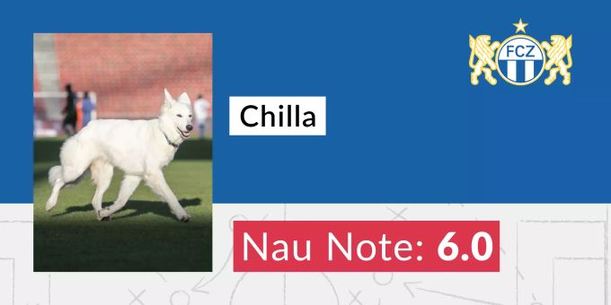 Die Nau.ch-Note für Präsidenten-Hündin Chilla. FCZ