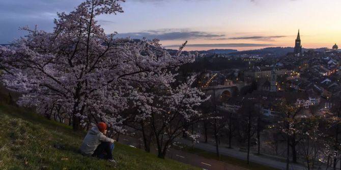 Bern Rosegarten