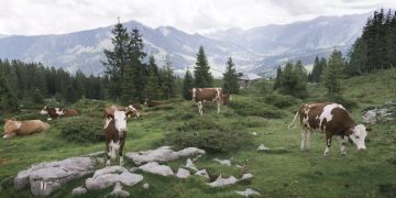 Entlebuch