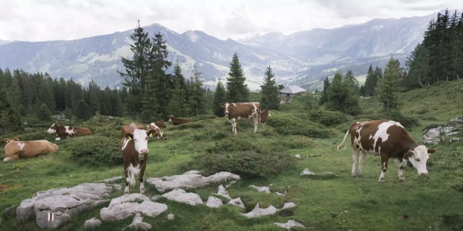 Entlebuch