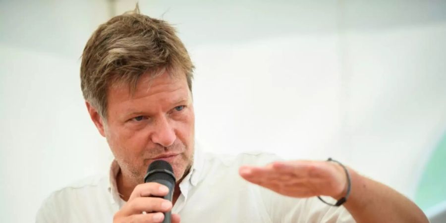 Grünen-Co-Chef Habeck