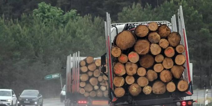 Um Engpässen und massiven Preissteigerungen bei Bauholz in Deutschland entgegenzuwirken, werden vorübergehende Exportbeschränkungen gefordert. Foto: Patrick Pleul/dpa-Zentralbild/dpa Um Engpässen und massiven Preissteigerungen bei Bauholz in Deutschland entgegenzuwirken, werden vorübergehende Exportbeschränkungen gefordert. Foto: Patrick Pleul/dpa-Zentralbild/dpa