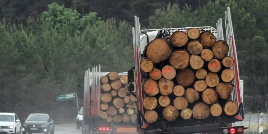 Um Engpässen und massiven Preissteigerungen bei Bauholz in Deutschland entgegenzuwirken, werden vorübergehende Exportbeschränkungen gefordert. Foto: Patrick Pleul/dpa-Zentralbild/dpa
