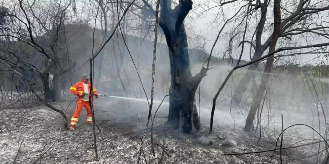 Wildfires in Sardinia