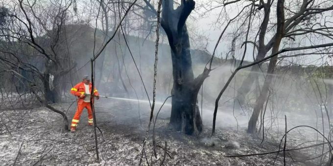 In Italien brennen aktuell zahlreiche Wälder. Wildfires in Sardinia