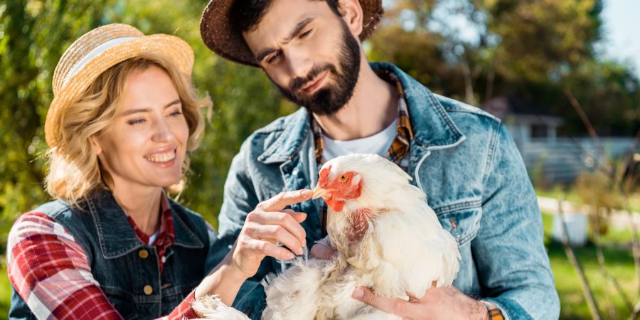 Bauern Paar Huhn