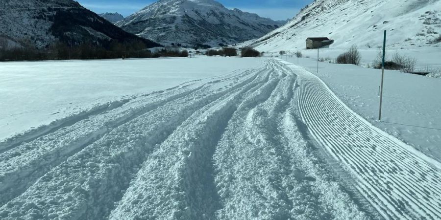 Spuren auf Langlaufloipe