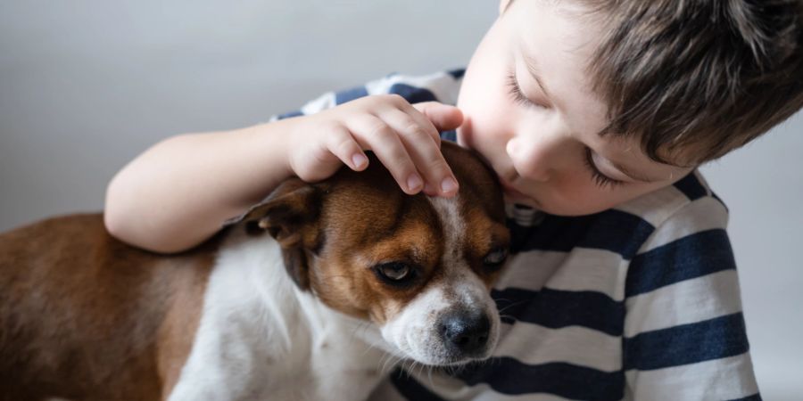 Junge streichelt Hund