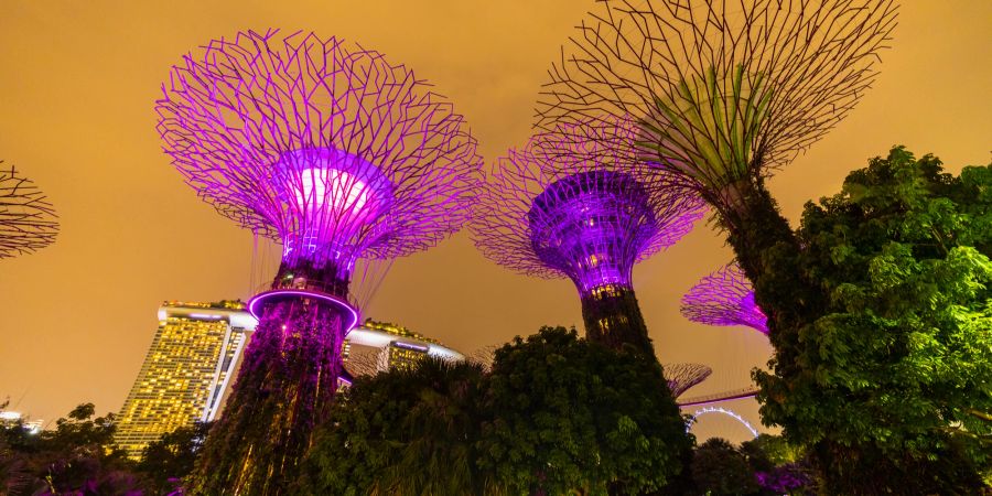 Singapur Skyline Gärten