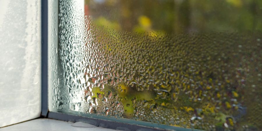 Wassertropfen am Fenster