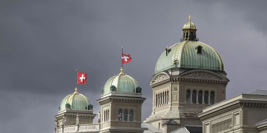 Bis Ende September haben 15 Künstlerinnen und Künstler Zeit, Ideen für die Gestaltung des Giebelfeldes des Parlamentsgebäudes einzubringen. (Archivbild)