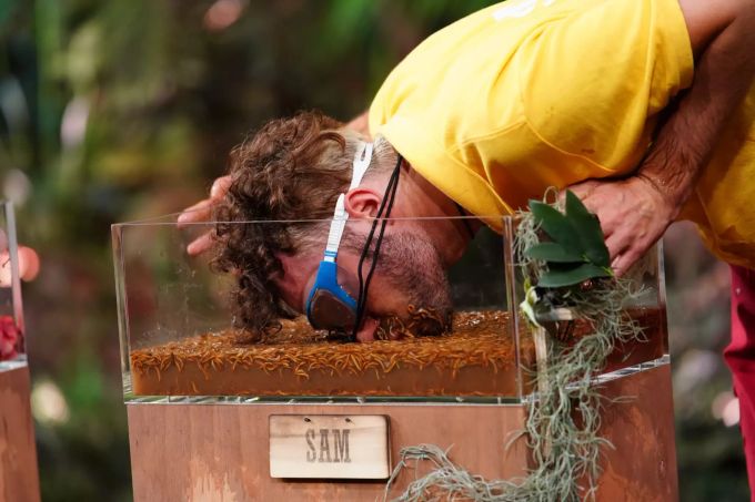 «Dschungelshow»: Sam Dylan fischt nach Puzzleteile. Dschungelshow