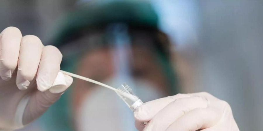Ein Mitarbeiter zeigt in einer Corona-Abstrichstelle einen Abstrich für einen Corona-Test. Die in Grossbritannien aufgetretene Variante des Coronavirus ist in Sachsen nachgewiesen worden. Foto: Tom Weller/dpa