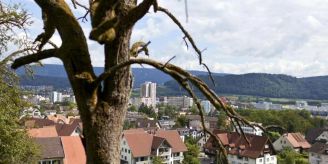 15 Jahre Haft - Messerstecher von Spreitenbach verurteilt