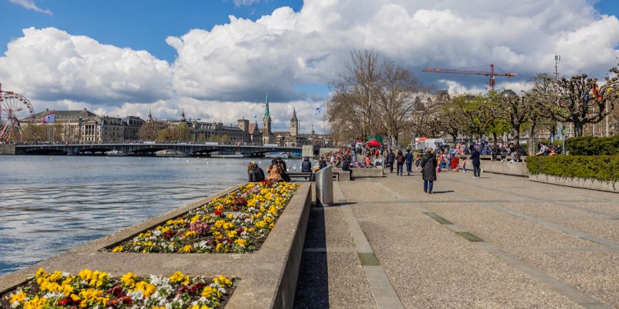 Der beliebte Spazierweg am Zürichsee. - Bellevue