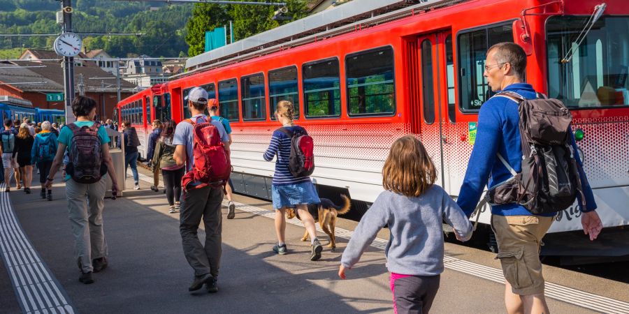 Rigi-Bergahnen. - Arth-Goldau