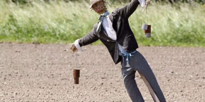 Die Schweizer Landwirtschaft wirkt sich negativ auf die Vogelpopulationen aus. (Symbolbild) Landwirtschaft