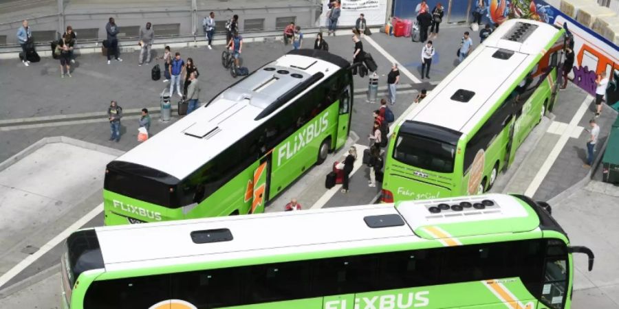 Flixbusse am Frankfurter Hauptbahnhof