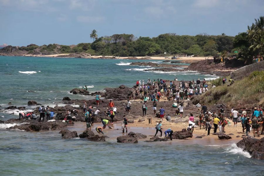 brasilien ölverschmutzung