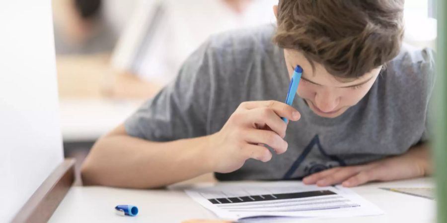 IQ Intelligenz Test