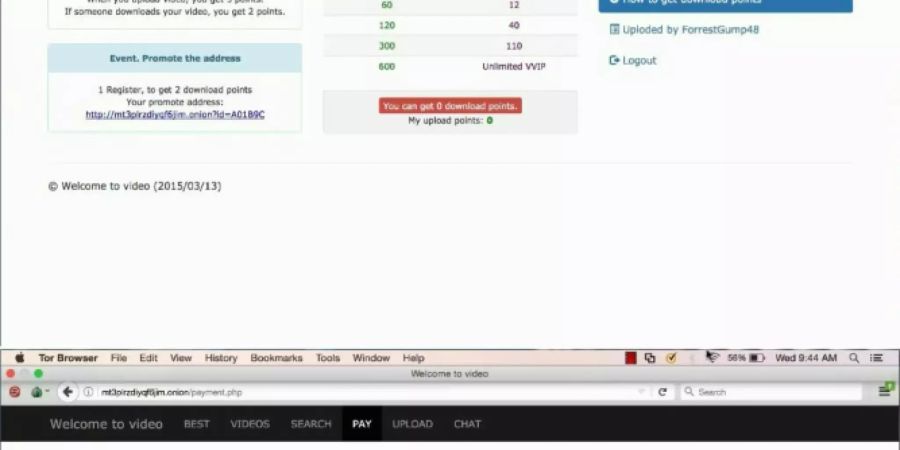 Auflistung der US-Behörden von Kinderporno-Websites