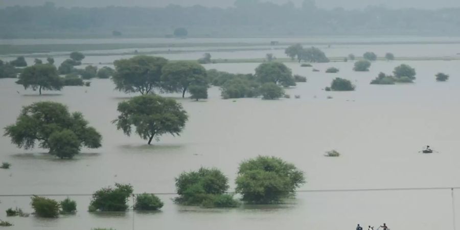 Der Ganges in Allahabad in Uttar Pradesh im August