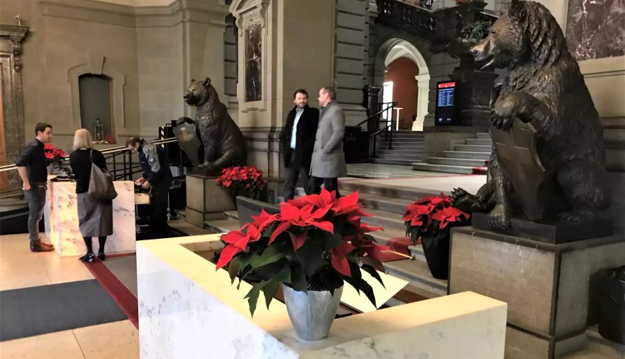 Überall im Bundeshaus stehen derzeit Weihnachtsstern-Pflanzen.