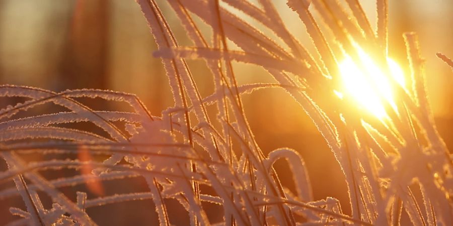 Ausgerechnet im Winter steht die Erde auf ihrer Umlaufbahn der Sonne am nächsten. Die Nähe zur Sonne hat mit Wärme und Kälte auf der Erde aber kaum etwas zu tun. (Archivbild)