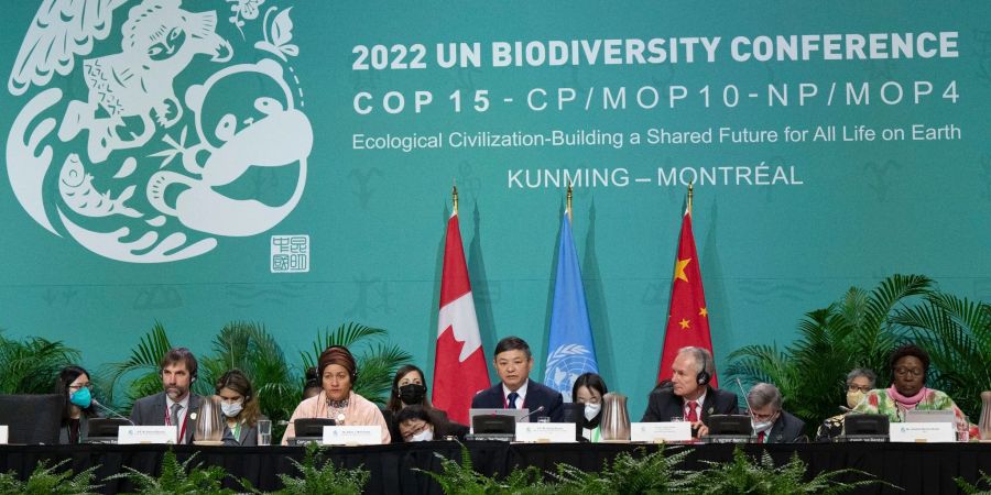 Mit dem Weltnaturgipfel verbindet sich die Hoffnung, ein globales Abkommen für den Artenschutz zu erreichen - ähnlich dem Pariser Klimaschutz-Abkommen.