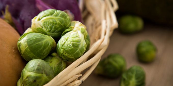 Rosenkohlröschen sollten frisch zubereitet werden. Ansonsten werden die Deckblätter schnell gelb. Rosenkohlröschen Kabis Korb grün frisch