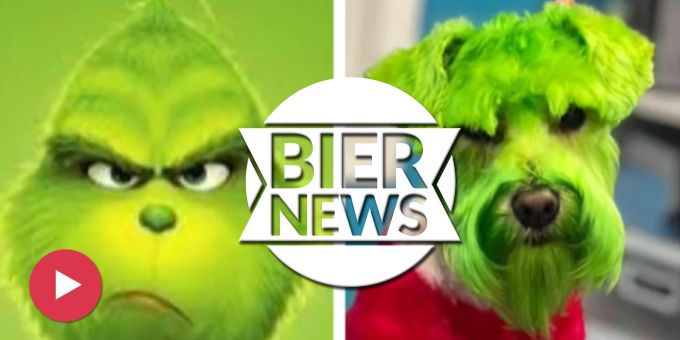 Ist das okay? - Das Internet streitet über diesen Grinch-Hund
