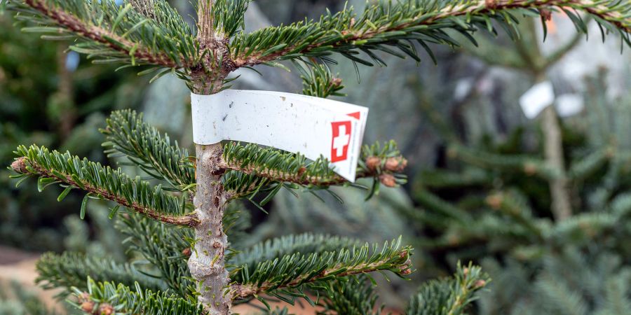 Weihnachtsbaumverkauf mit Schweizer Gütesiegel. (Symbolbild)