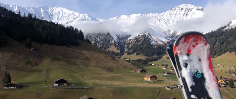 Der Blick aus der Gondel in Adelboden BE diese Woche: Grün, so weit das Auge reicht.