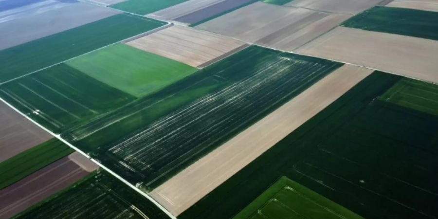 Felder nahe Grevenbroich in Nordrhein-Westfalen