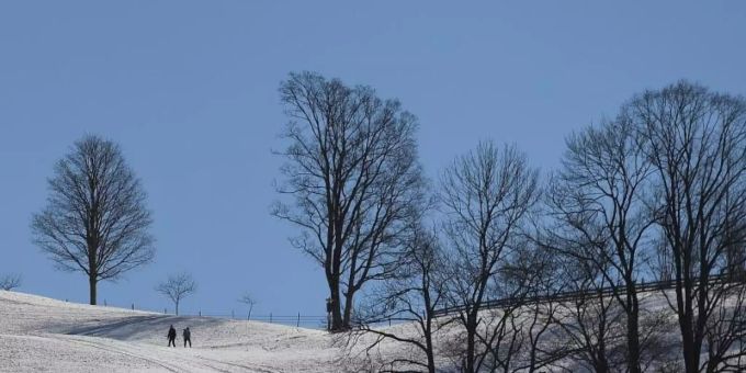 Schnee und starker Frost sind nach Ansicht von Bodenexperten gut für die Beschaffenheit des Bodens. Foto: Angelika Warmuth/dpa Schnee und starker Frost sind nach Ansicht von Bodenexperten gut für die Beschaffenheit des Bodens. Foto: Angelika Warmuth/dpa