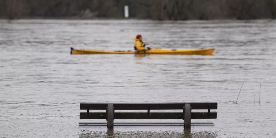 Hochwasser am Rhein